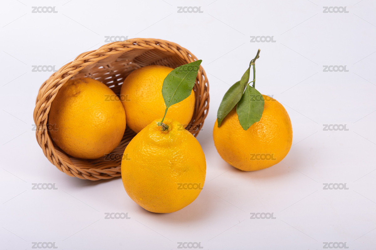 新鮮的春見耙耙柑（主預(yù)覽-8895182） - 未分類 - 站酷設(shè)計(jì)師AT86原創(chuàng)素材 - 站酷ZCOOL