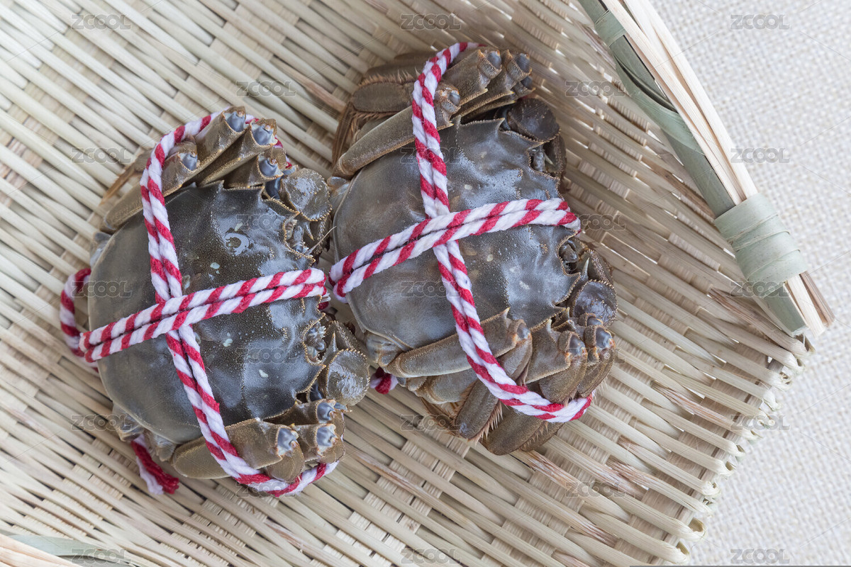 螃蟹（主预览-6845197） - 未分类 - 站酷设计师Crazystock原创素材 - 站酷ZCOOL