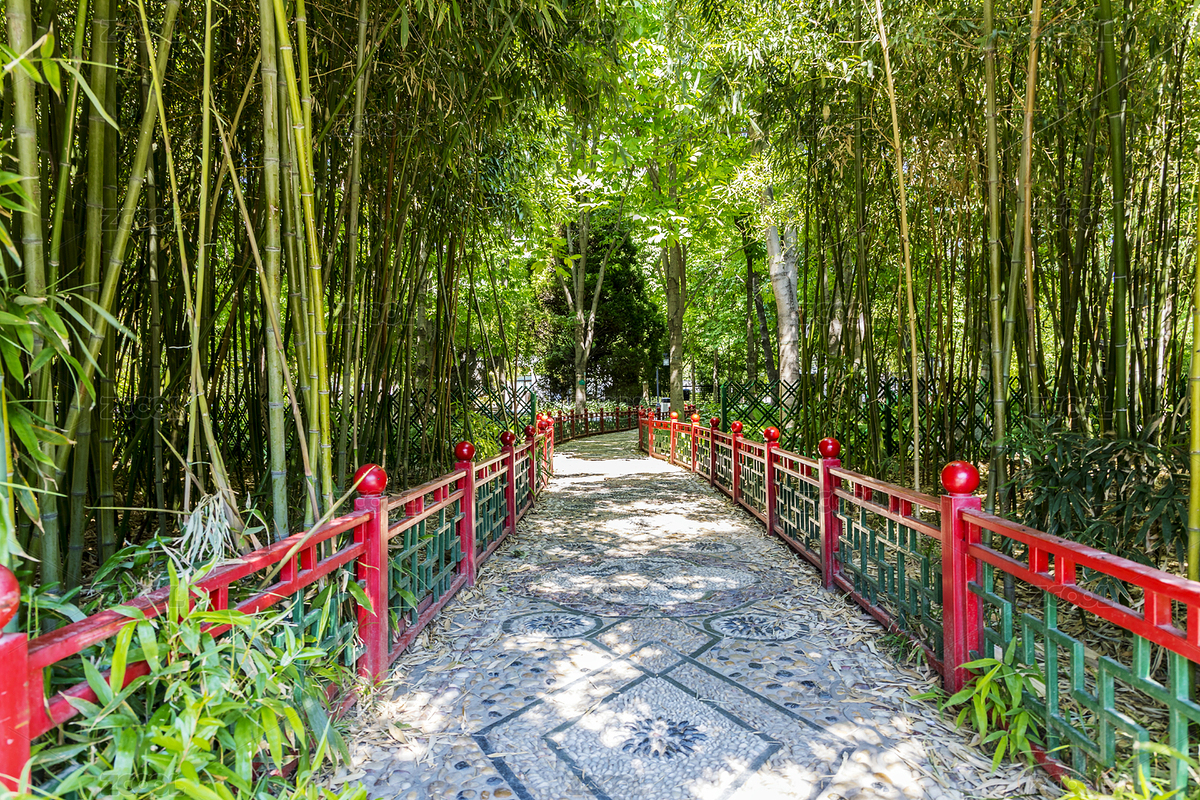 北京月坛公园竹林幽径景区（主预览-7500547） - 未分类 - 站酷设计师caowei430237原创素材 - 站酷ZCOOL