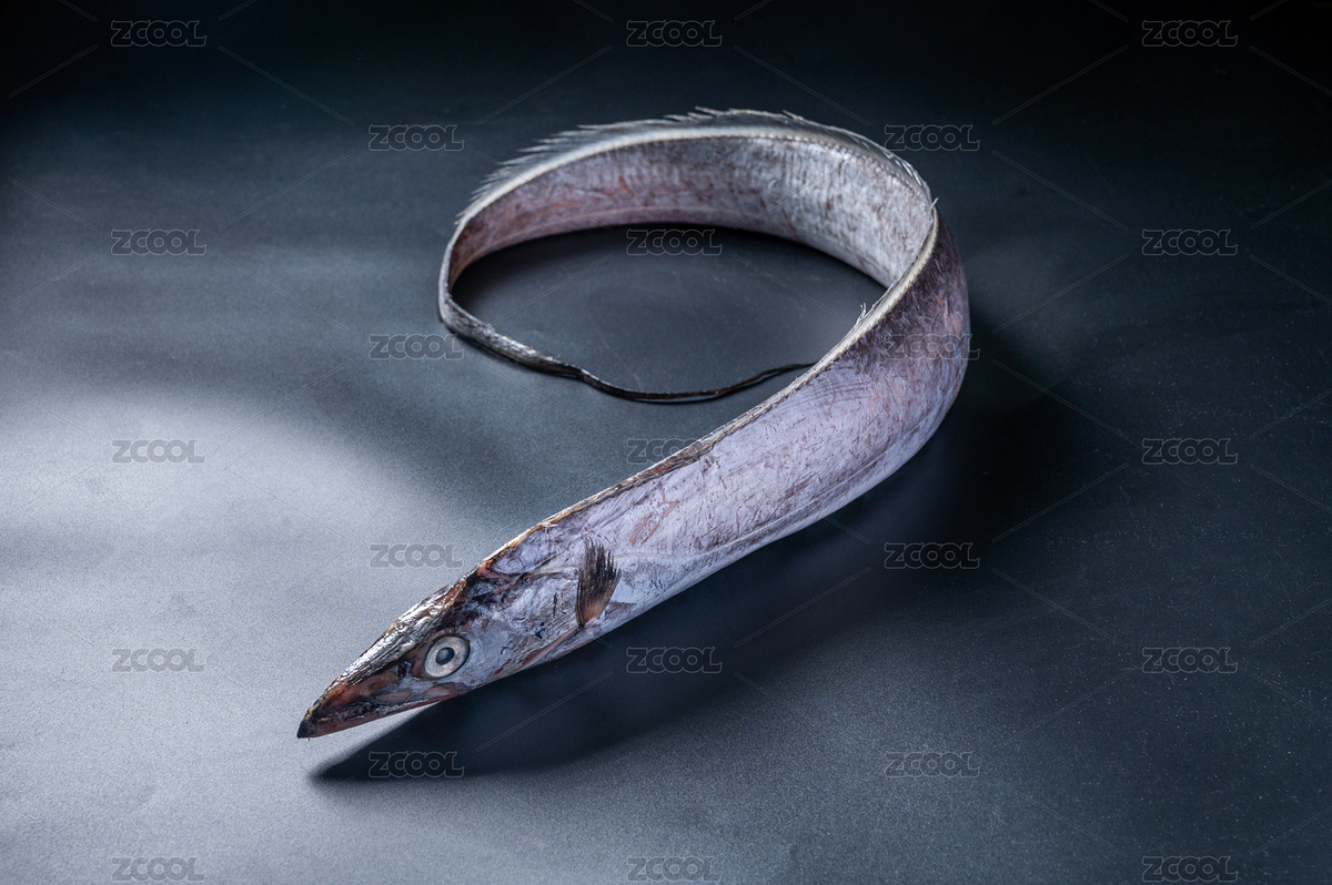 黑色背景上的一条刀鱼（主预览-4139586） - 未分类 - 站酷设计师是清欢呀原创素材 - 站酷ZCOOL