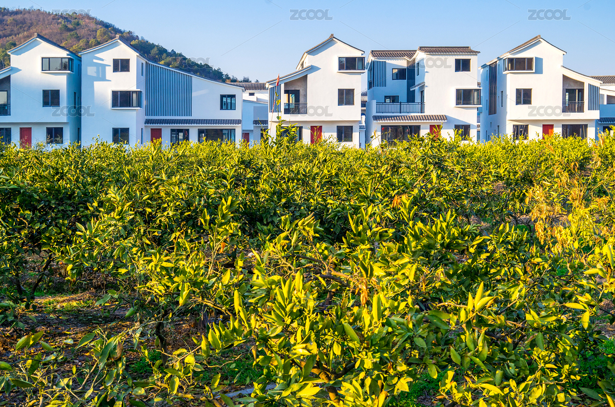 宁波象山青莱村新式民居（主预览-5337041） - 未分类 - 站酷设计师茄子小两口原创素材 - 站酷ZCOOL