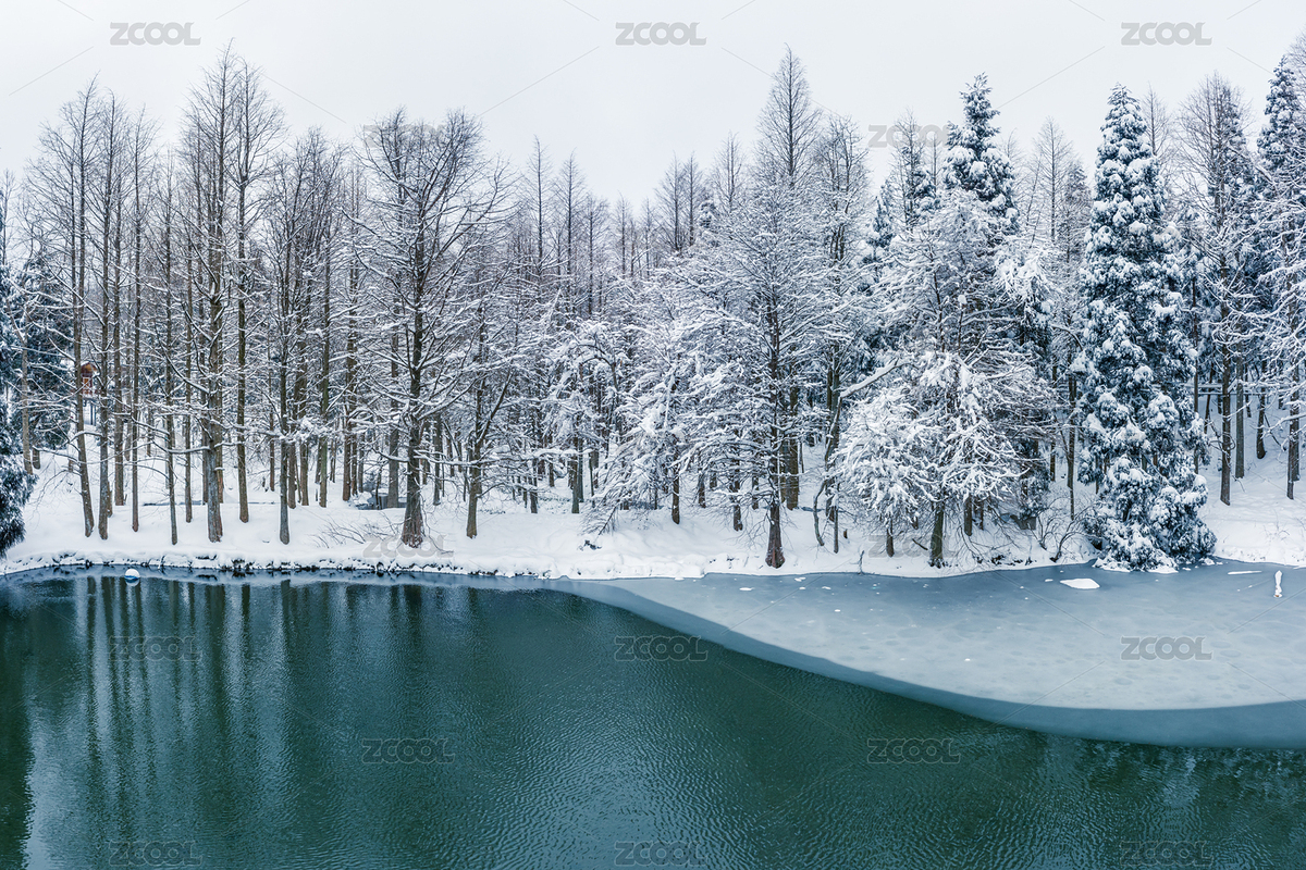 浙江金華北山小西湖水杉林雪景風(fēng)光（主預(yù)覽-6414304） - 未分類(lèi) - 站酷設(shè)計(jì)師視頻有思想原創(chuàng)素材 - 站酷ZCOOL