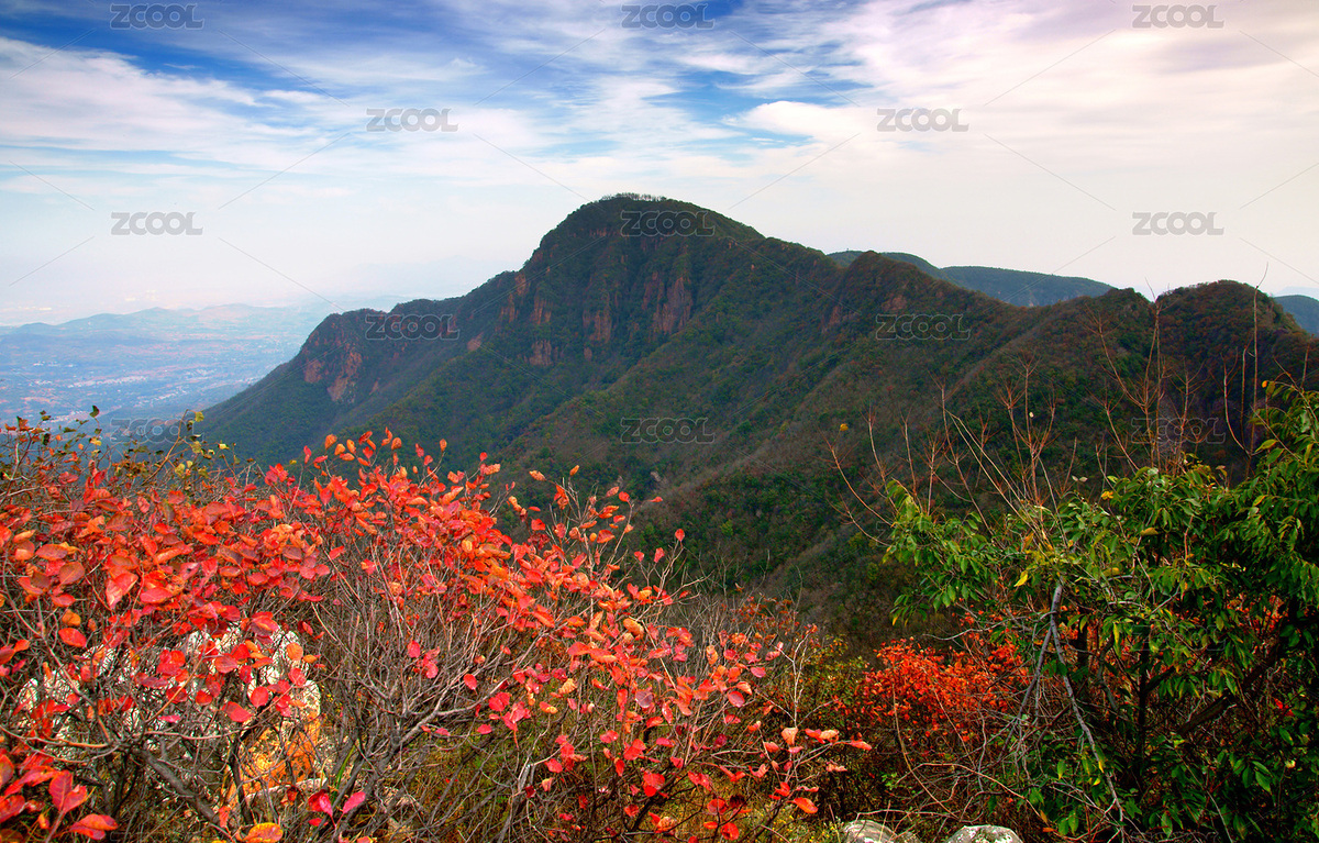 中國河南禹州市鳩山鎮(zhèn)大鴻寨秋季坷垃垛紅葉（主預(yù)覽-4826390） - 未分類 - 站酷設(shè)計(jì)師zwh98058原創(chuàng)素材 - 站酷ZCOOL