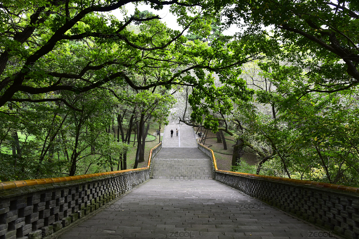 遼寧沈陽東陵清福陵一百零八蹬臺階林蔭路（主預覽-12559789） - 未分類 - 站酷設計師時光來了原創(chuàng)素材 - 站酷ZCOOL