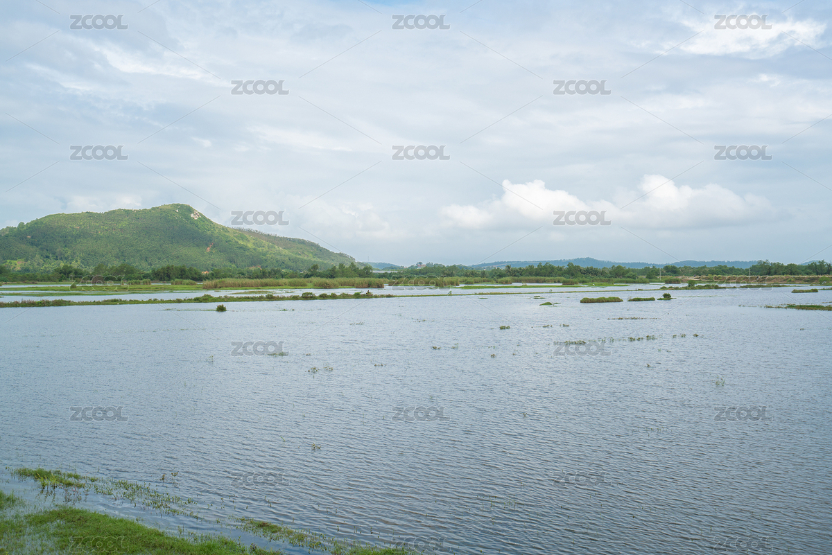 濕地公園（主預覽-1539831） - 未分類 - 站酷設計師行走之間原創(chuàng)素材 - 站酷ZCOOL
