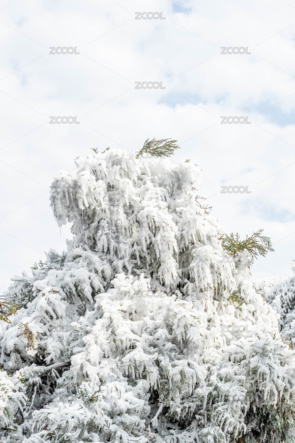 中国南岳衡山紫盖峰雾凇风光（主预览-6762429） - 未分类 - 站酷设计师风暴丽丽原创素材 - 站酷ZCOOL