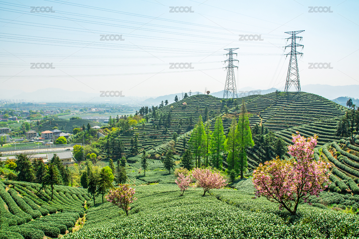 浙江杭州富陽拔山茶園與高壓電塔（主預(yù)覽-12296406） - 未分類 - 站酷設(shè)計(jì)師漂泊的行攝之旅原創(chuàng)素材 - 站酷ZCOOL