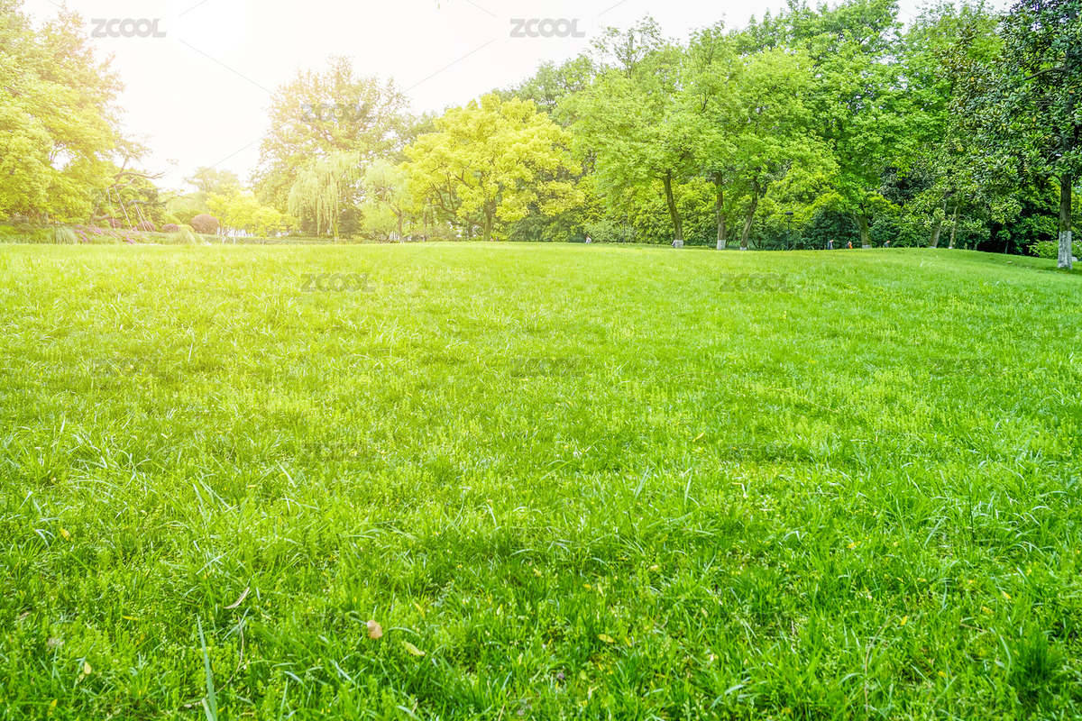 公園綠樹林背景（主預(yù)覽-7686413） - 未分類 - 站酷設(shè)計師feichangbaoquan原創(chuàng)素材 - 站酷ZCOOL