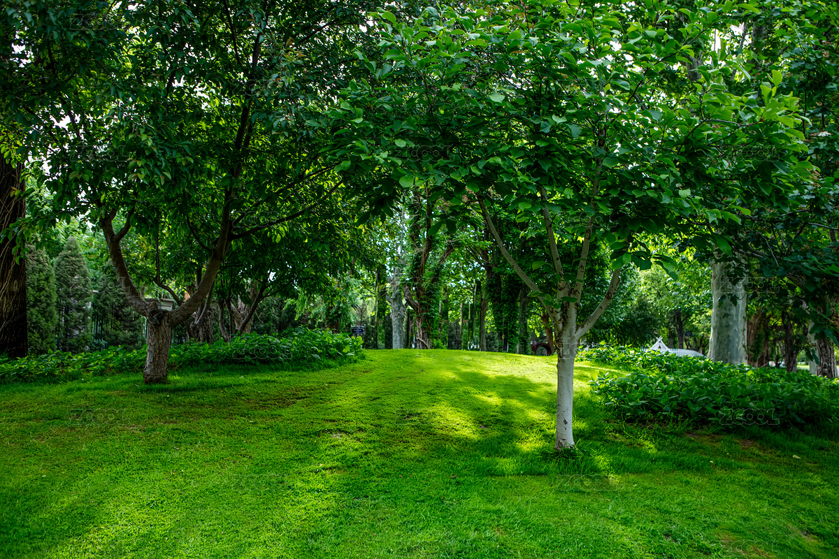 生態(tài)公園（主預(yù)覽-3729741） - 未分類(lèi) - 站酷設(shè)計(jì)師linfu041230原創(chuàng)素材 - 站酷ZCOOL