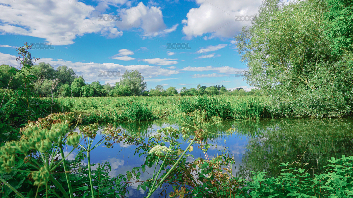 藍天下牛津大學(xué)公園的小河，與河邊的花草樹木（主預(yù)覽-8464491） - 未分類 - 站酷設(shè)計師_della_原創(chuàng)素材 - 站酷ZCOOL