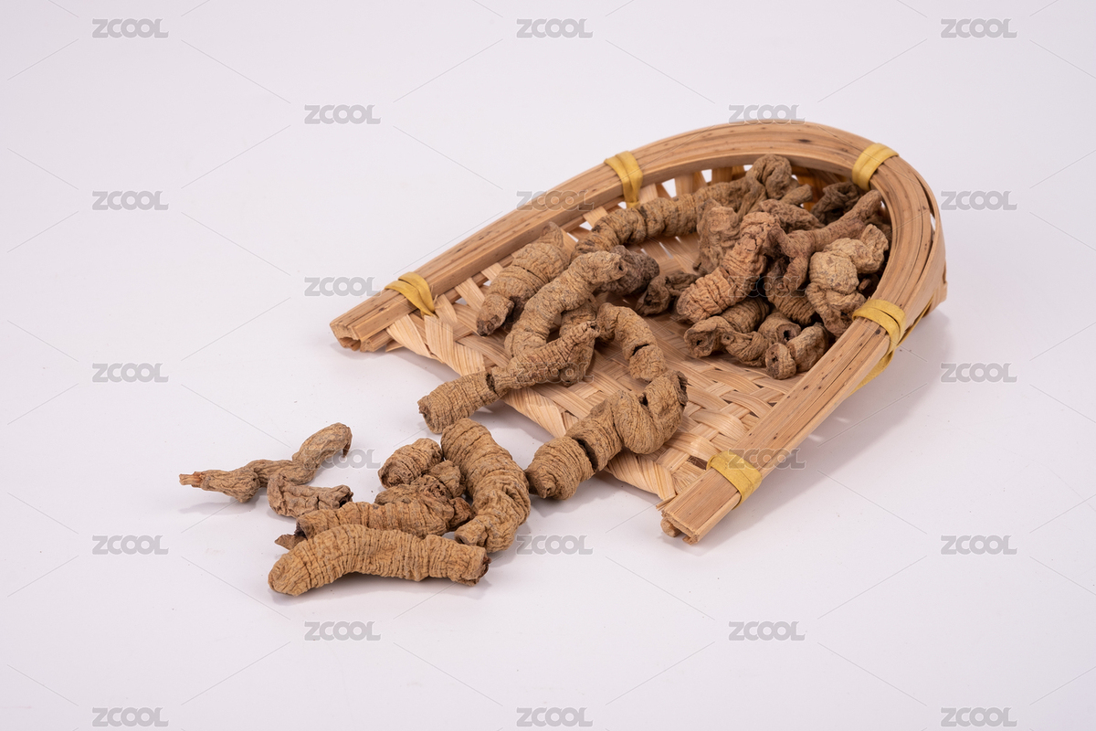 中國(guó)中草藥植物藥材巴戟天（主預(yù)覽-9076661） - 未分類(lèi) - 站酷設(shè)計(jì)師Akuuga原創(chuàng)素材 - 站酷ZCOOL