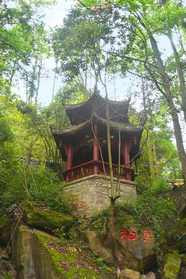 彭州丹景山千年漢柏景點 漢柏摩崖石刻（主預(yù)覽-7074625） - 未分類 - 站酷設(shè)計師無題圖原創(chuàng)素材 - 站酷ZCOOL