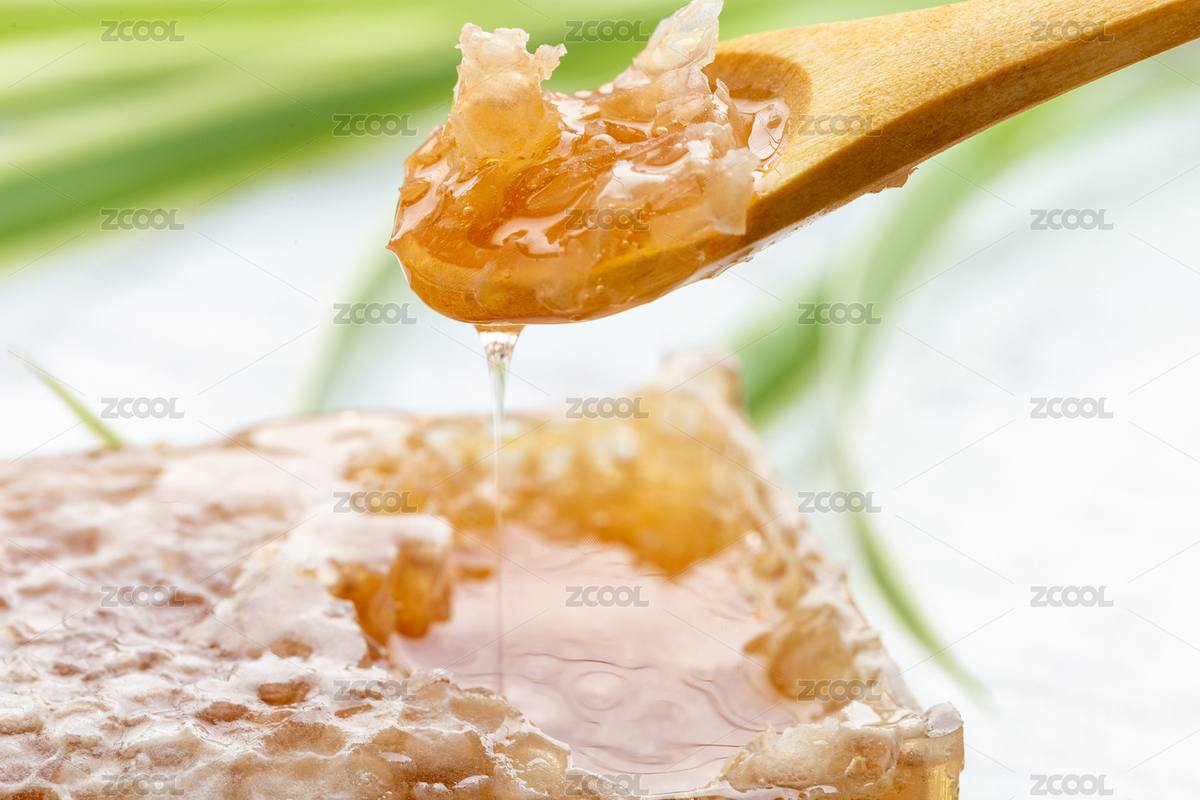 新鮮的蜂巢蜜（主預(yù)覽-3889690） - 未分類 - 站酷設(shè)計師qianhe24原創(chuàng)素材 - 站酷ZCOOL