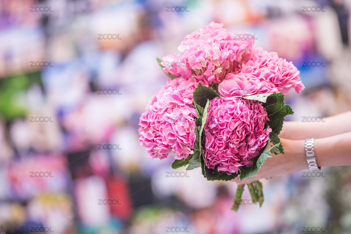 鮮花（主預覽-5381032） - 未分類 - 站酷設計師云端工作室原創(chuàng)素材 - 站酷ZCOOL