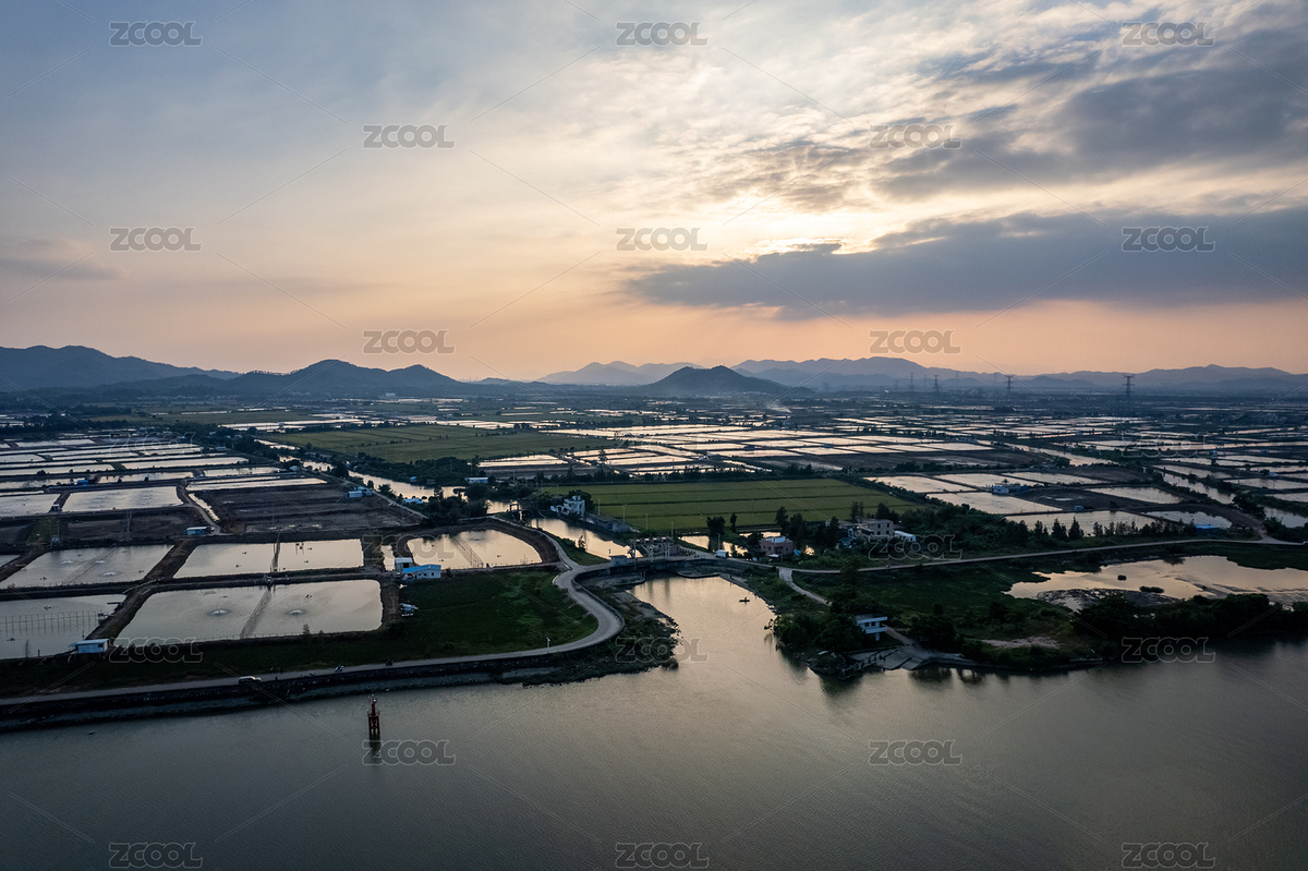 珠海斗門落羽杉航拍（主預覽-5081268） - 未分類 - 站酷設計師吃不胖的Lin原創(chuàng)素材 - 站酷ZCOOL