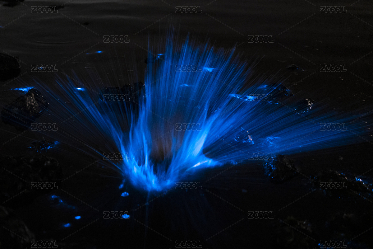 大連熒光海藍眼淚（主預(yù)覽-3768390） - 未分類 - 站酷設(shè)計師catband原創(chuàng)素材 - 站酷ZCOOL