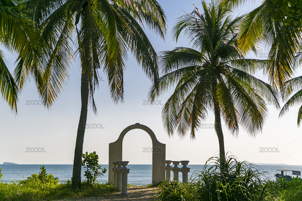 中國海南三亞灣椰夢長廊熱帶雨林景觀（主預覽-2489351） - 未分類 - 站酷設計師夏天的彩虹原創(chuàng)素材 - 站酷ZCOOL