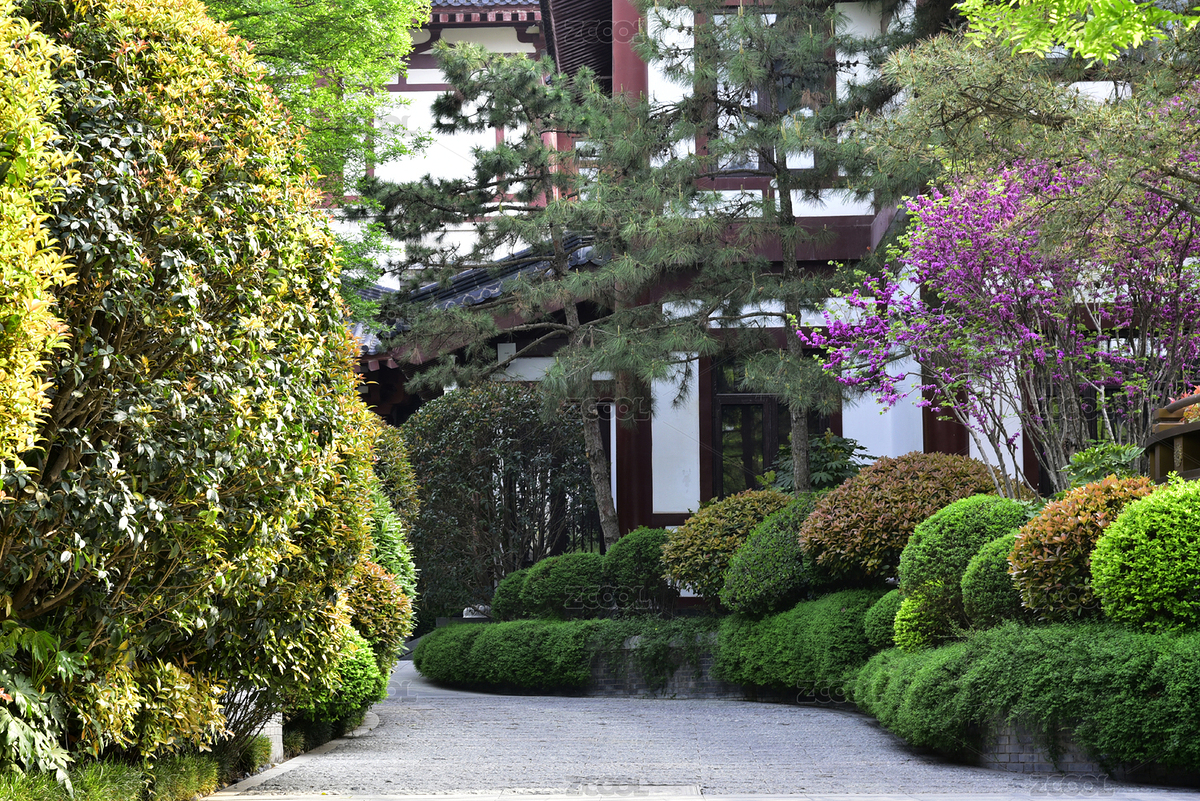 西安華清宮景區(qū)華清池春天的庭院園林風(fēng)光（主預(yù)覽-8957354） - 未分類 - 站酷設(shè)計(jì)師時(shí)光來了原創(chuàng)素材 - 站酷ZCOOL
