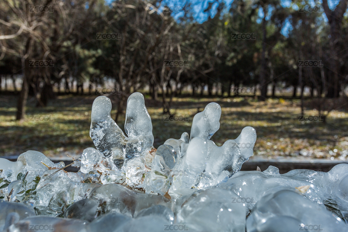 冰花（主預覽-7677790） - 未分類 - 站酷設計師鳳之靈原創(chuàng)素材 - 站酷ZCOOL