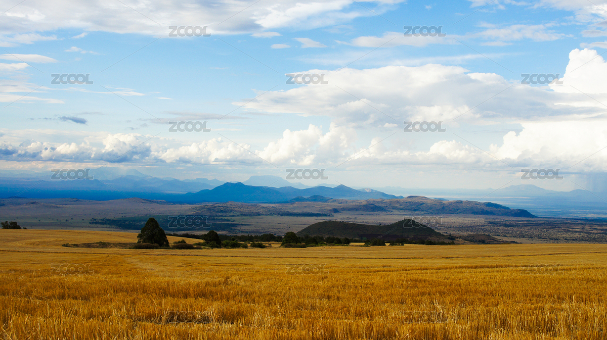 非洲肯尼亞山腰的農(nóng)場（主預覽-7691465） - 未分類 - 站酷設(shè)計師杜風彥原創(chuàng)素材 - 站酷ZCOOL