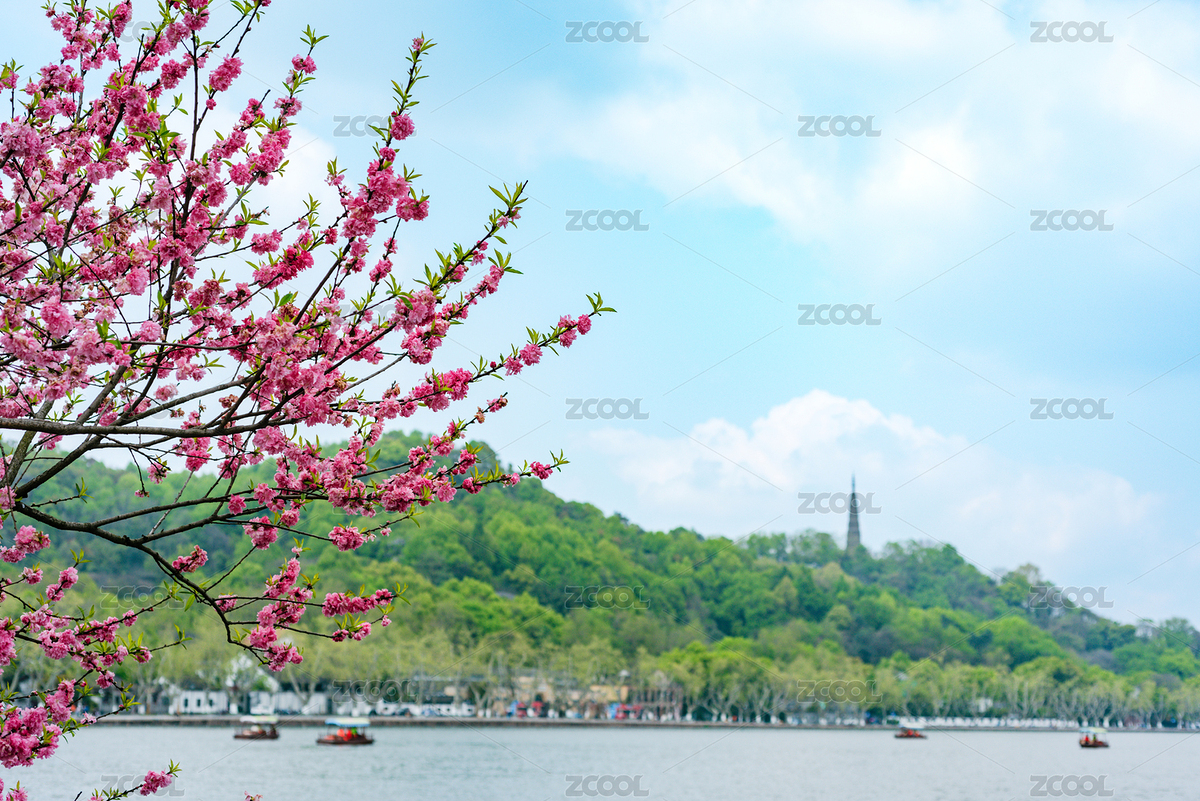 杭州西湖春景保俶塔與桃花（主預(yù)覽-5629951） - 未分類 - 站酷設(shè)計(jì)師城森創(chuàng)意原創(chuàng)素材 - 站酷ZCOOL