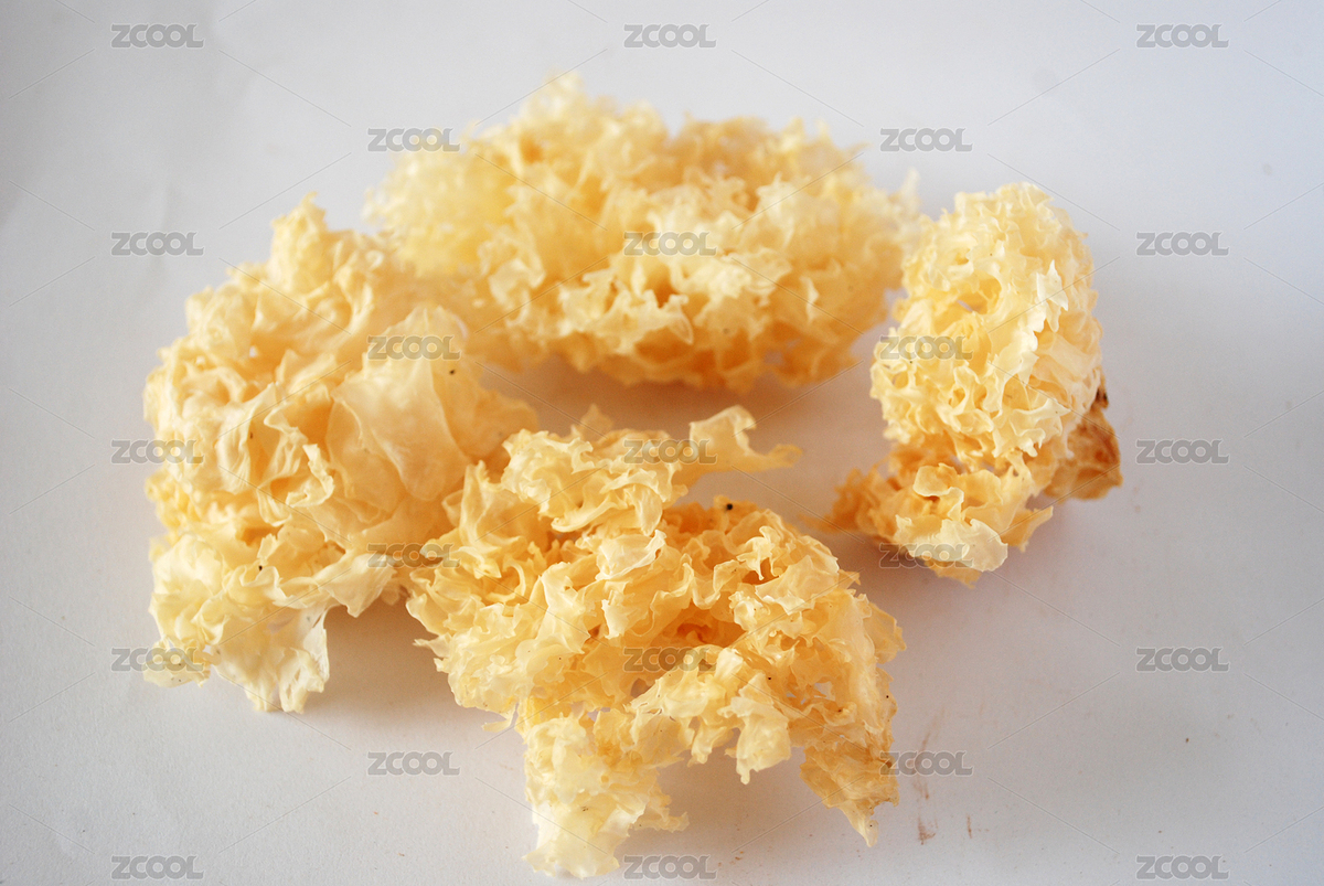 银耳（主预览-5095778） - 未分类 - 站酷设计师浅色_格子原创素材 - 站酷ZCOOL