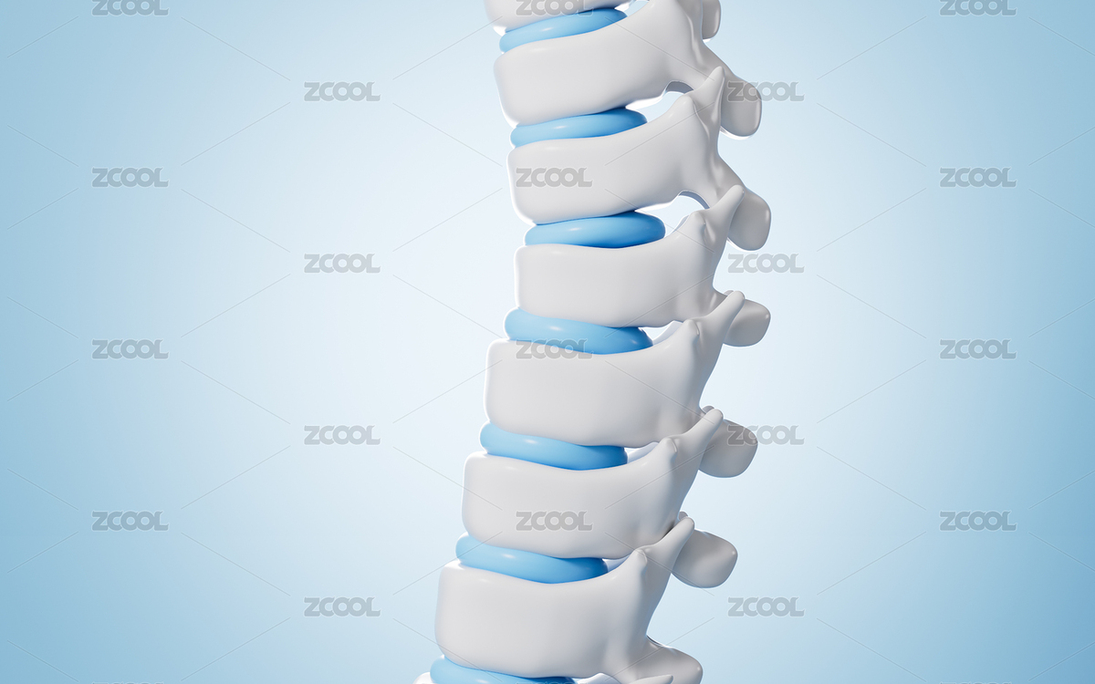 人類脊椎脊柱模型3D渲染（主預(yù)覽-8089386） - 未分類 - 站酷設(shè)計(jì)師TinaJi0718原創(chuàng)素材 - 站酷ZCOOL