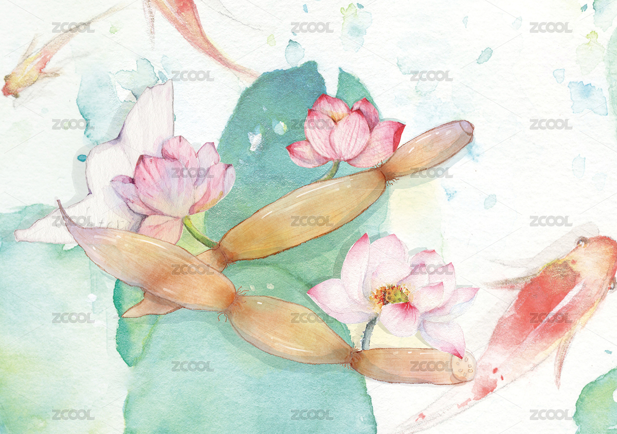 清新水芙蓉藕花芙蕖荷塘荷花蓮花花朵植物（主預(yù)覽-12149032） - 未分類 - 站酷設(shè)計(jì)師hbjoan原創(chuàng)素材 - 站酷ZCOOL