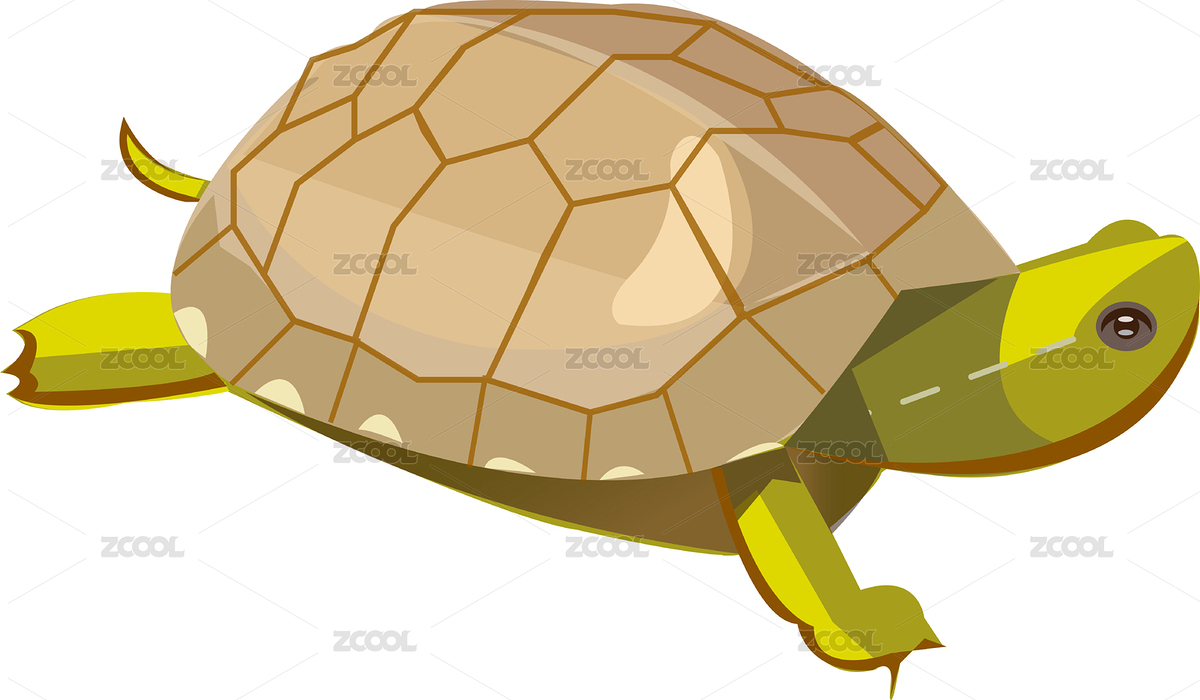 小烏龜（主預(yù)覽-6182785） - 未分類 - 站酷設(shè)計師早安微笑的魚原創(chuàng)素材 - 站酷ZCOOL