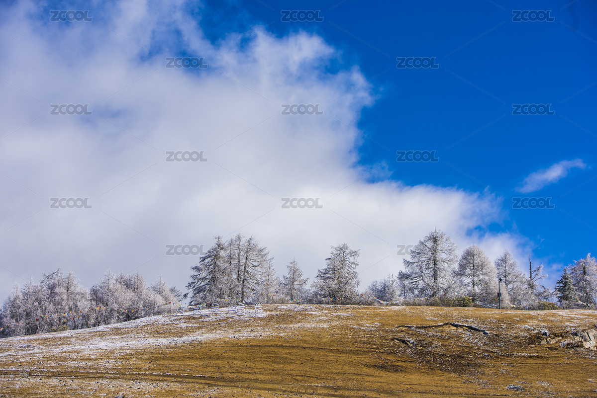 藍天白云下雪松（主預覽-8178297） - 未分類 - 站酷設計師蘇巖原創(chuàng)素材 - 站酷ZCOOL