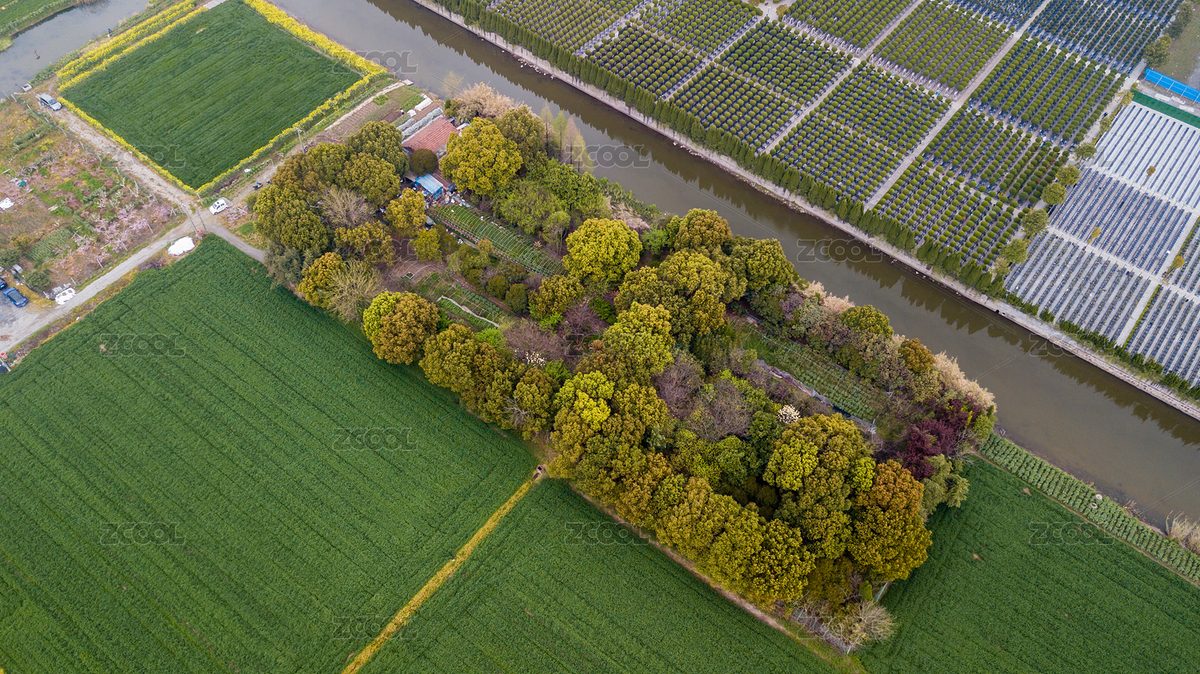 树丛与麦田（主预览-5196489） - 未分类 - 站酷设计师丁露飞翔原创素材 - 站酷ZCOOL