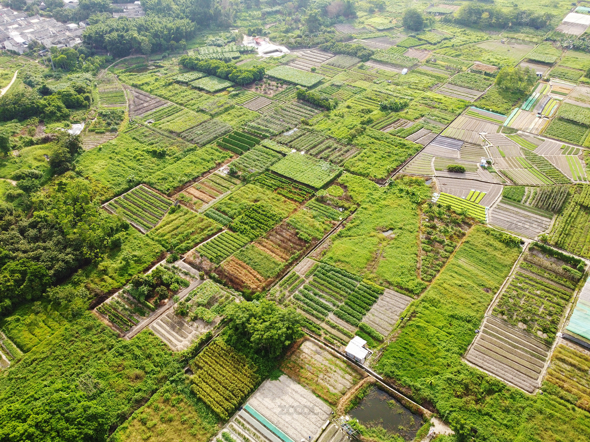 中國嶺南地區(qū)平原綠色田園風(fēng)光航拍（主預(yù)覽-8243567） - 未分類 - 站酷設(shè)計師WUWUDEFENSI原創(chuàng)素材 - 站酷ZCOOL