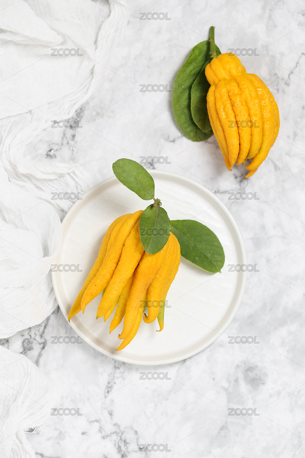 放在白色背景上的佛手柑（主預覽-7049088） - 未分類 - 站酷設計師luoluoivy原創(chuàng)素材 - 站酷ZCOOL