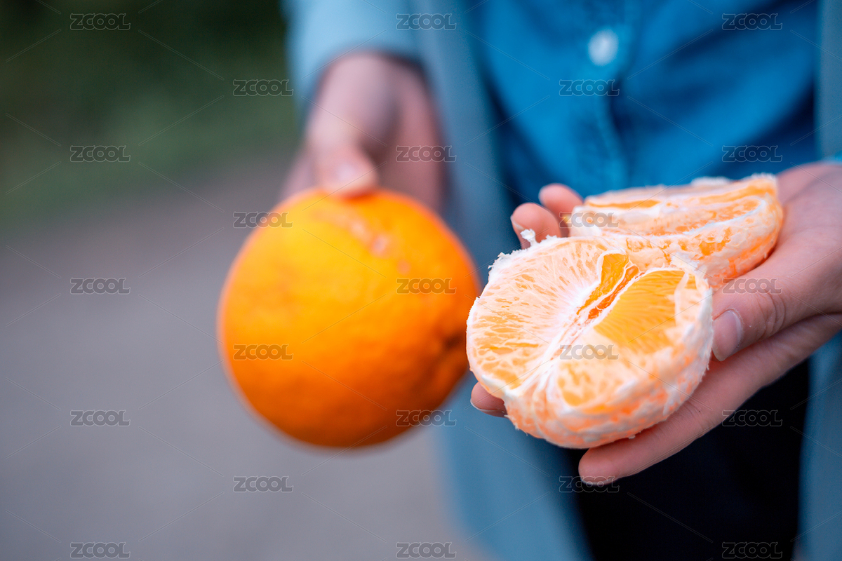 手上拿著剝開的兩瓣橘子（主預(yù)覽-2946664） - 未分類 - 站酷設(shè)計師WhiteYing原創(chuàng)素材 - 站酷ZCOOL