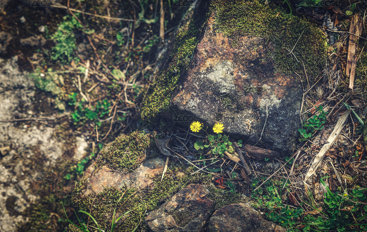 宜昌秭歸長江三峽風(fēng)景區(qū)鏈子崖風(fēng)景（主預(yù)覽-11001885） - 未分類 - 站酷設(shè)計師BKTw3mnBPl原創(chuàng)素材 - 站酷ZCOOL