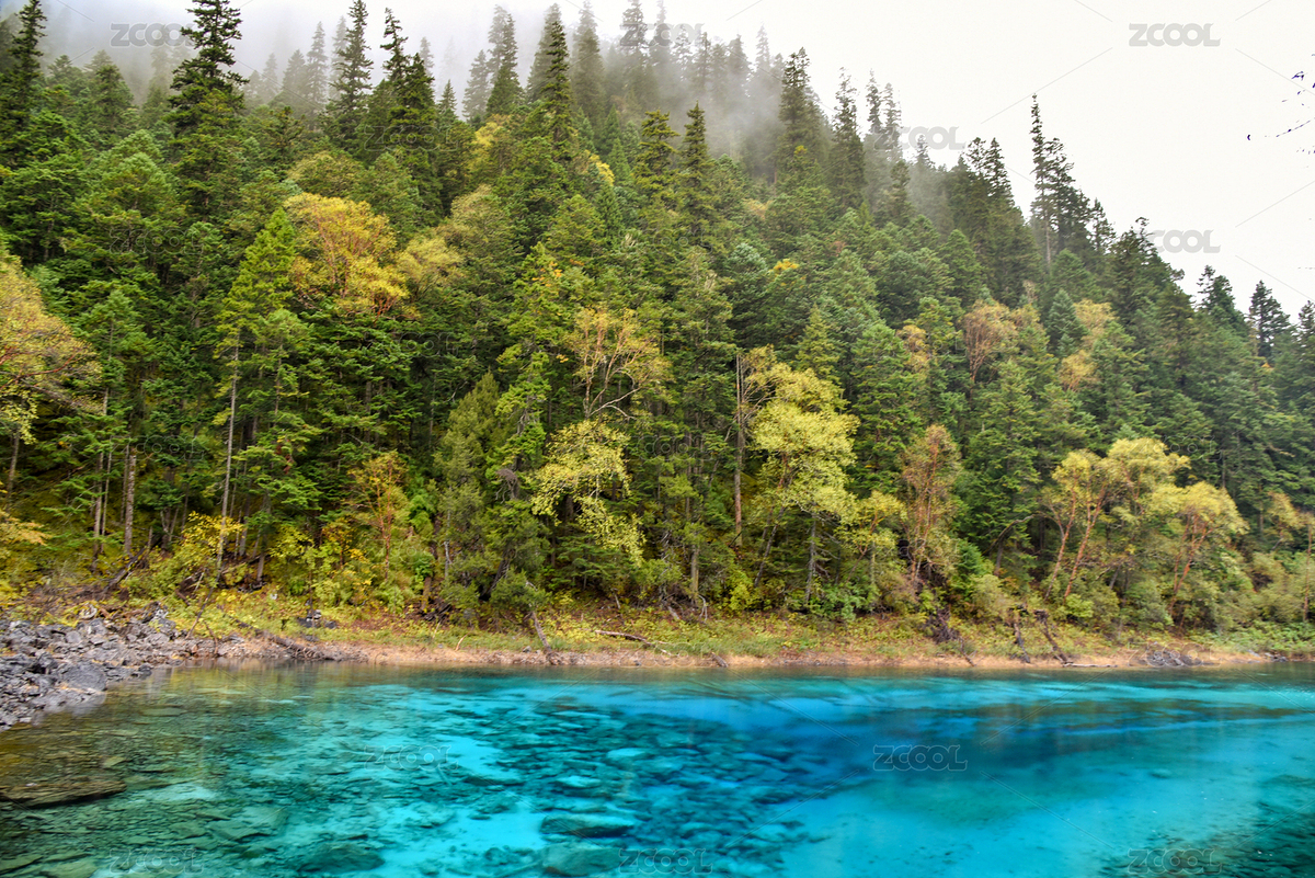 四川阿壩九寨溝風(fēng)景區(qū)（主預(yù)覽-4697331） - 未分類 - 站酷設(shè)計(jì)師LT058原創(chuàng)素材 - 站酷ZCOOL