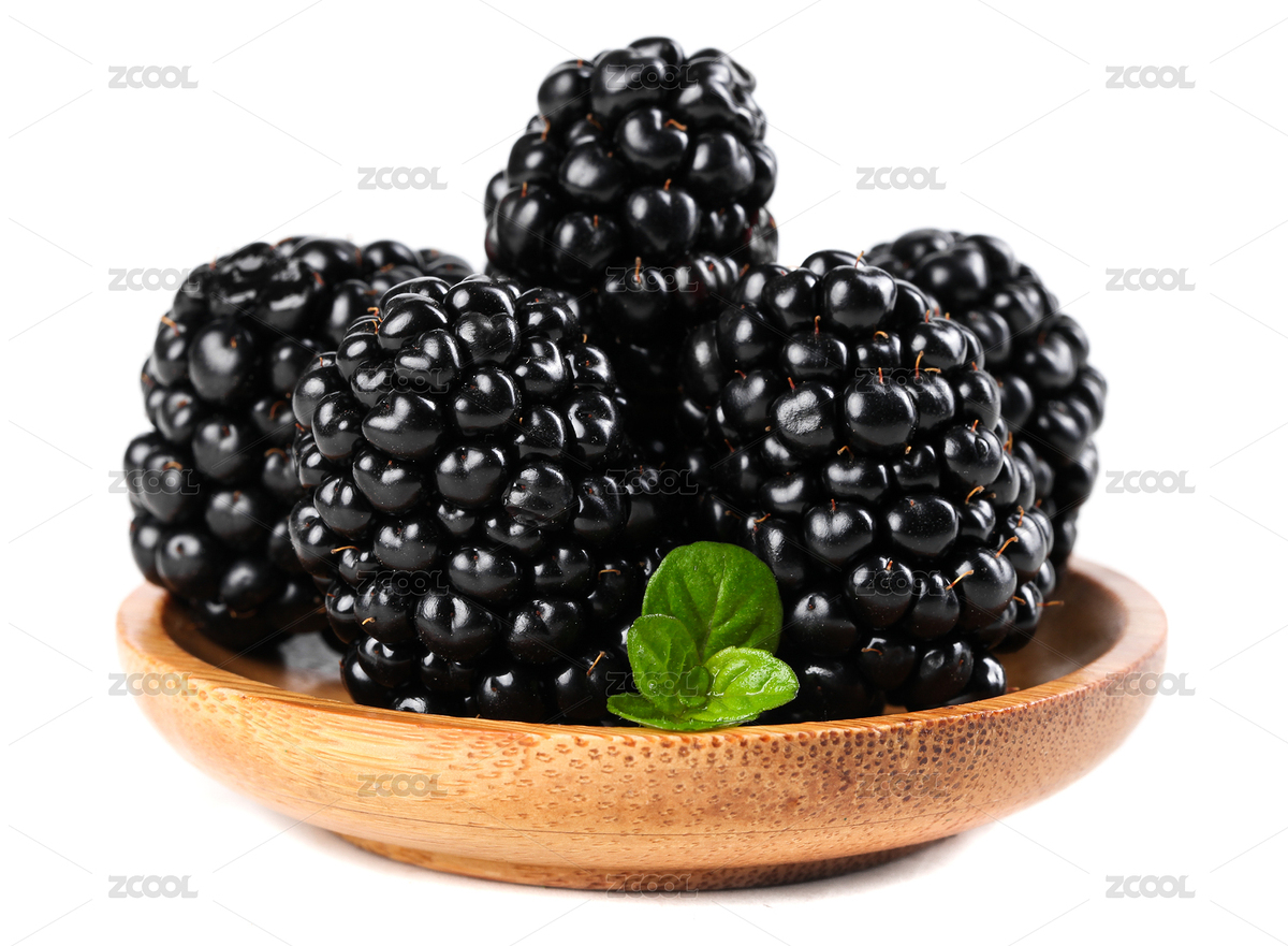 白底上放著一盤進(jìn)口黑莓（主預(yù)覽-9028265） - 未分類 - 站酷設(shè)計(jì)師PAOPAO攝影工作室原創(chuàng)素材 - 站酷ZCOOL