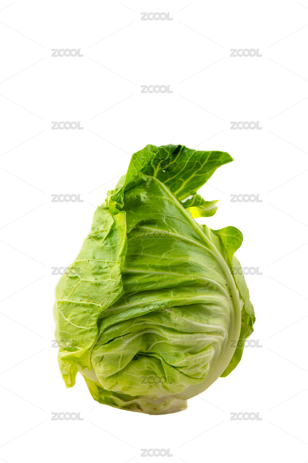 包菜特寫（主預(yù)覽-11048904） - 未分類 - 站酷設(shè)計師ydhorsefq原創(chuàng)素材 - 站酷ZCOOL