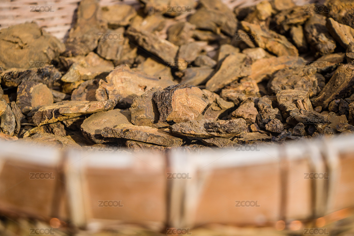 中藥材大黃（主預(yù)覽-6694929） - 未分類 - 站酷設(shè)計(jì)師菩提子1000原創(chuàng)素材 - 站酷ZCOOL