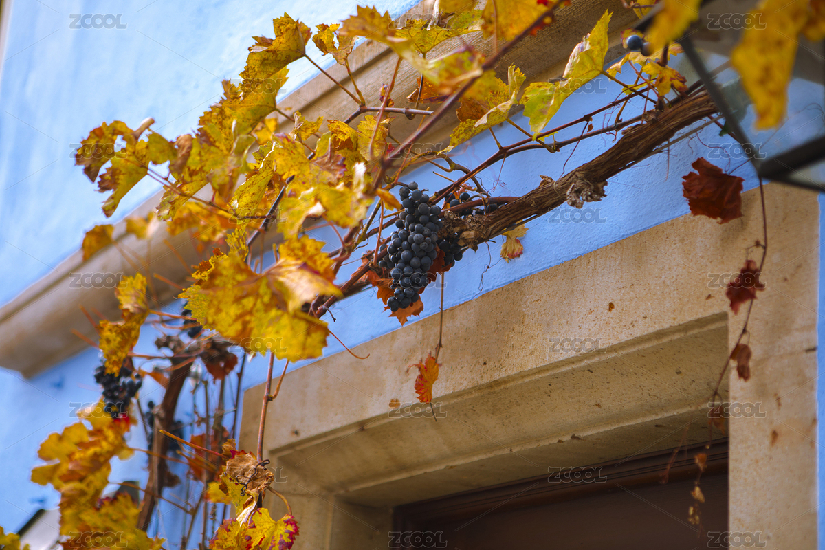 德國(guó)羅騰堡童話(huà)鎮(zhèn)古老的街道上商家獨(dú)特的綠（主預(yù)覽-6476448） - 未分類(lèi) - 站酷設(shè)計(jì)師wangwushoung原創(chuàng)素材 - 站酷ZCOOL