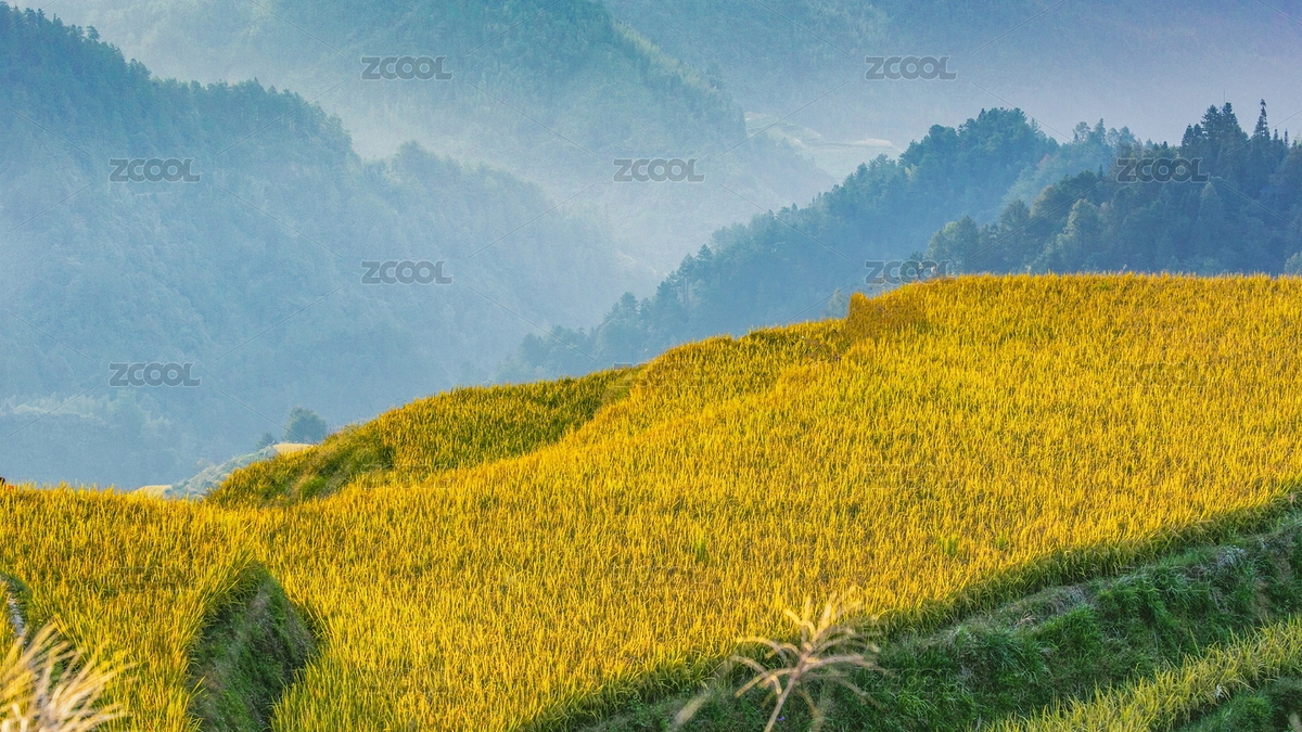 中国广西龙脊梯田田园风景（主预览-6600314） - 未分类 - 站酷设计师原野三月原创素材 - 站酷ZCOOL
