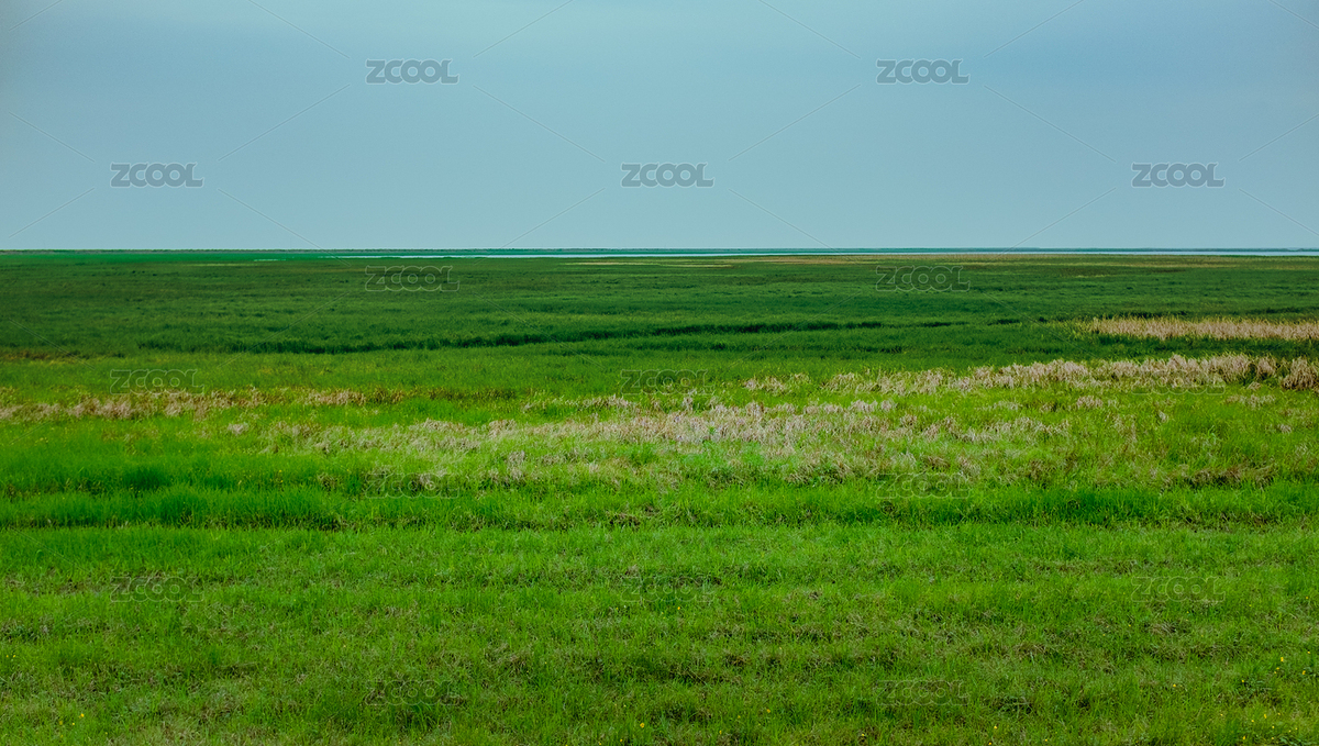 草原（主预览-399462） - 未分类 - 站酷设计师68273839原创素材 - 站酷ZCOOL