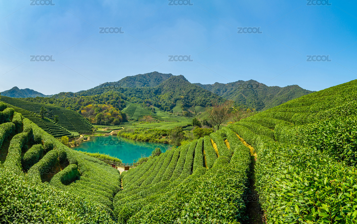 中國(guó)浙江杭州龍塢茶村龍井茶園（主預(yù)覽-5781360） - 未分類 - 站酷設(shè)計(jì)師等風(fēng)幾許原創(chuàng)素材 - 站酷ZCOOL