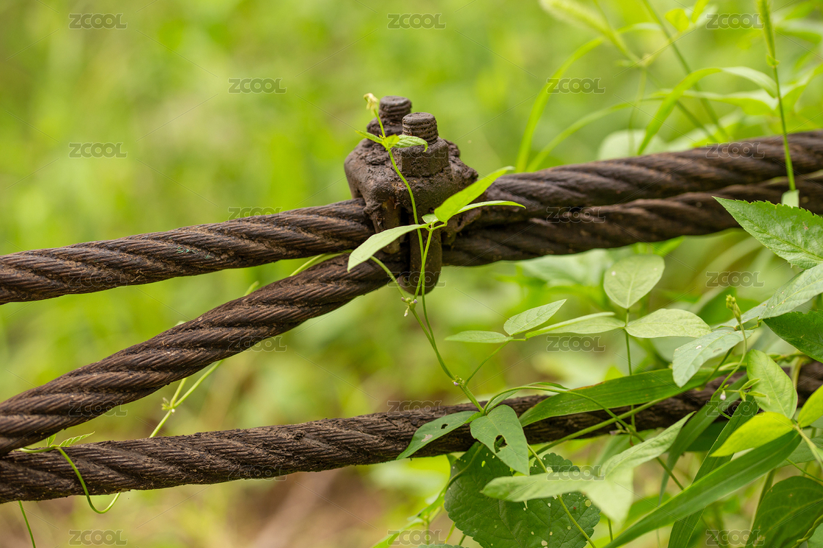 绿色背景中的钢丝绳（主预览-8207655） - 未分类 - 站酷设计师CityWalkers原创素材 - 站酷ZCOOL