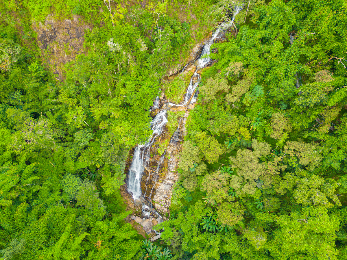 航拍森林里的瀑布（主預覽-7481224） - 未分類 - 站酷設計師Fez4mwH73A原創(chuàng)素材 - 站酷ZCOOL