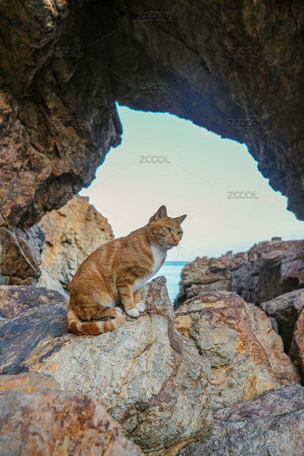 大連圣象天門和貓的同框（主預(yù)覽-1889171） - 未分類 - 站酷設(shè)計師藍(lán)小空原創(chuàng)素材 - 站酷ZCOOL