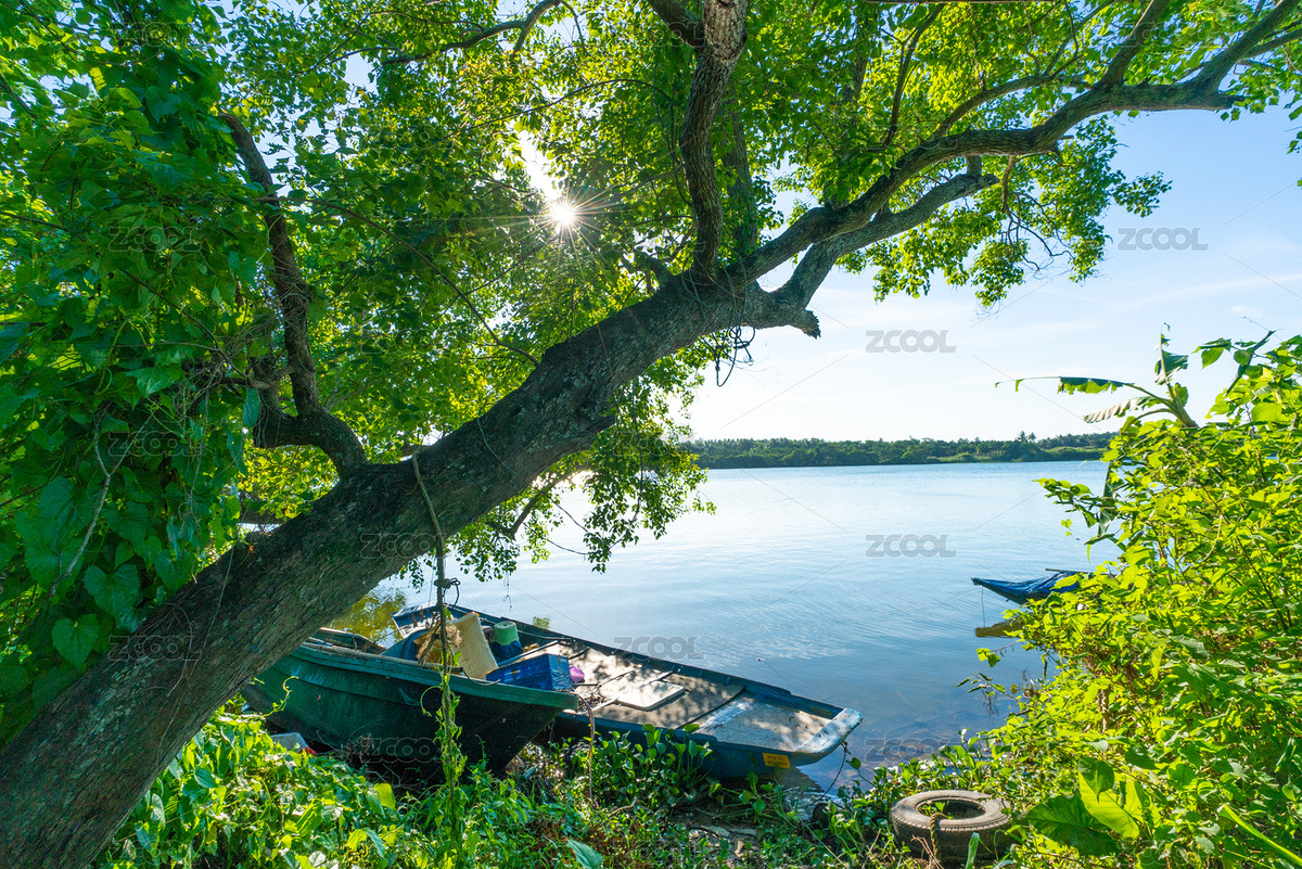 午后的河畔綠樹成蔭（主預(yù)覽-6595414） - 未分類 - 站酷設(shè)計師行走之間原創(chuàng)素材 - 站酷ZCOOL