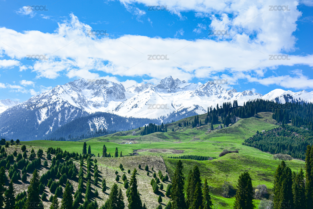 中國新疆伊利藍(lán)天白云下的草原風(fēng)光（主預(yù)覽-12153141） - 未分類 - 站酷設(shè)計師LB1pAJSK9J原創(chuàng)素材 - 站酷ZCOOL