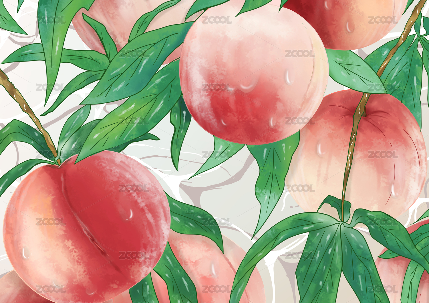 水蜜桃插画包装背景素材