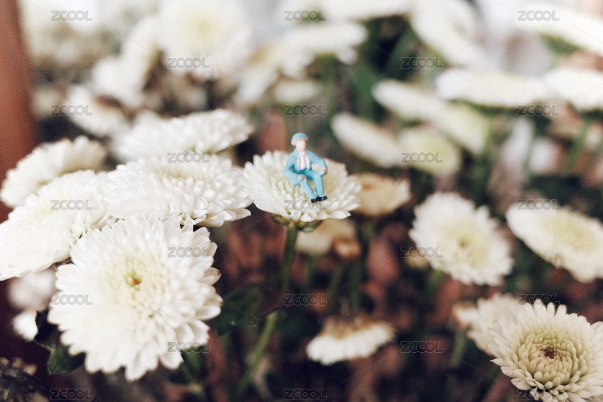 微距人物模型心理沙盘场景花丛安静坐着（主预览-1947685） - 未分类 - 站酷设计师Yang24原创素材 - 站酷ZCOOL